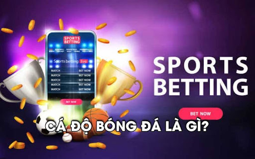 Ca do bong da 1 Cá độ bóng đá là gì?