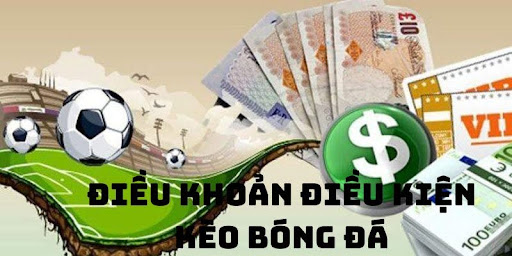 Nhung Dieu Khoan Dieu Kien 1 Khái niệm về điều khoản điều kiện Bóng đá