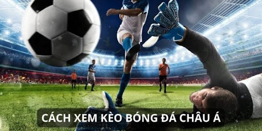 cach doc keo chap 1 Cách đọc kèo chấp trong bóng đá