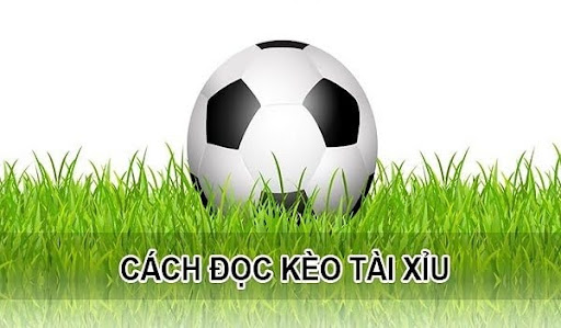 doc keo tai xiu 2 Cách đọc kèo tài xỉu vô cùng đơn giản